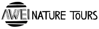 Logo site_menu